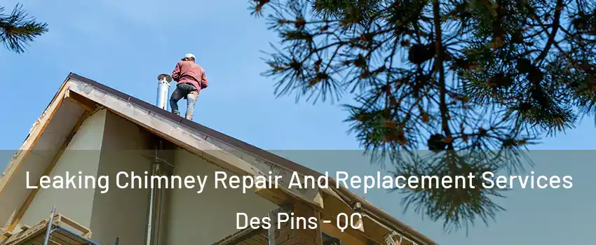  Leaking Chimney Repair And Replacement Services Des Pins - QC