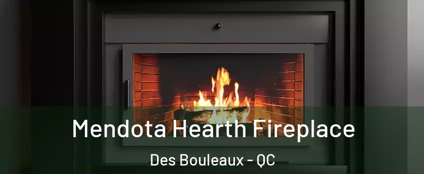Mendota Hearth Fireplace Des Bouleaux - QC