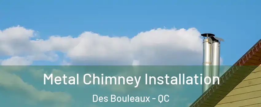  Metal Chimney Installation Des Bouleaux - QC
