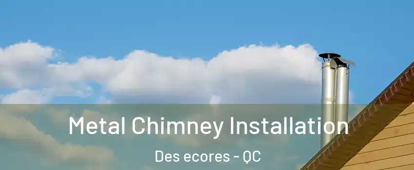  Metal Chimney Installation Des ecores - QC
