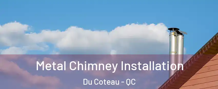  Metal Chimney Installation Du Coteau - QC