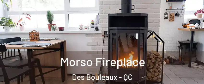  Morso Fireplace Des Bouleaux - QC
