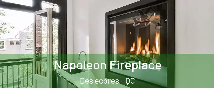 Napoleon Fireplace Des ecores - QC