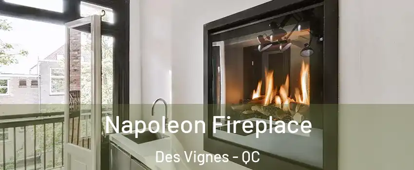  Napoleon Fireplace Des Vignes - QC