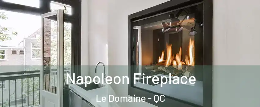  Napoleon Fireplace Le Domaine - QC