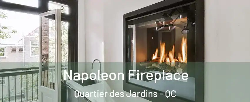  Napoleon Fireplace Quartier des Jardins - QC