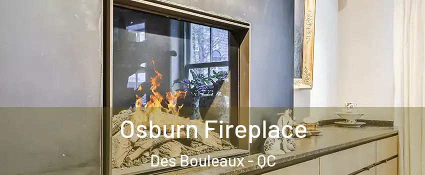 Osburn Fireplace Des Bouleaux - QC