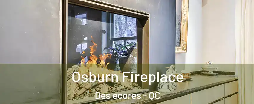  Osburn Fireplace Des ecores - QC