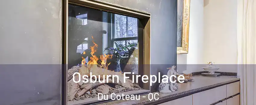  Osburn Fireplace Du Coteau - QC