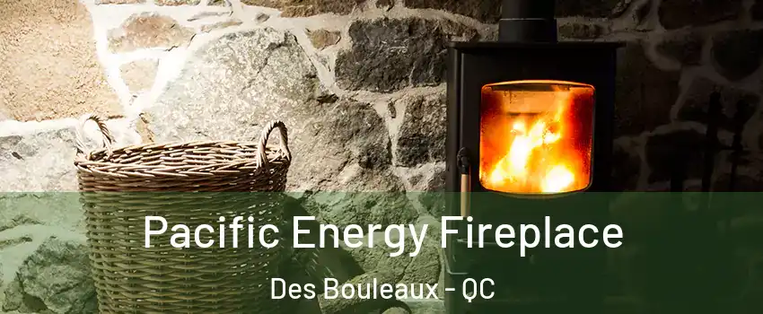  Pacific Energy Fireplace Des Bouleaux - QC