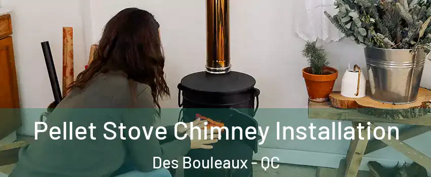  Pellet Stove Chimney Installation Des Bouleaux - QC