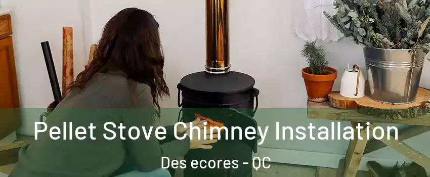  Pellet Stove Chimney Installation Des ecores - QC