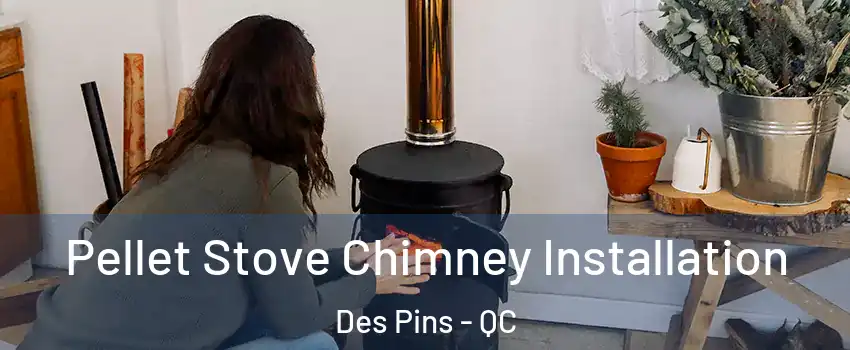  Pellet Stove Chimney Installation Des Pins - QC