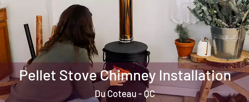  Pellet Stove Chimney Installation Du Coteau - QC