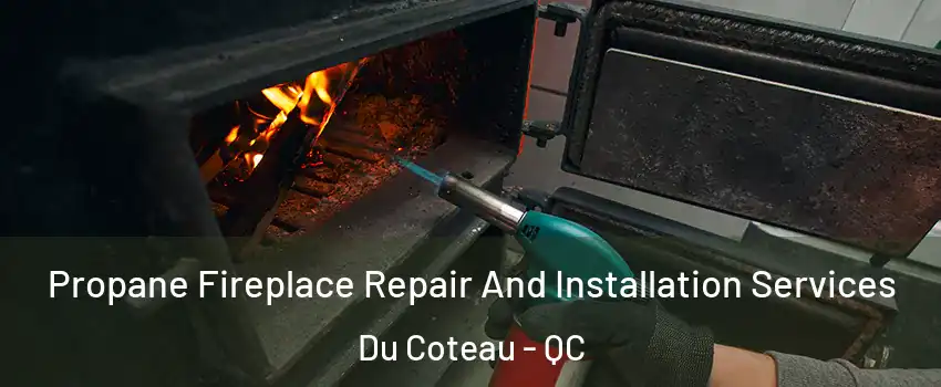 Propane Fireplace Repair And Installation Services Du Coteau - QC