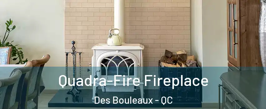  Quadra-Fire Fireplace Des Bouleaux - QC
