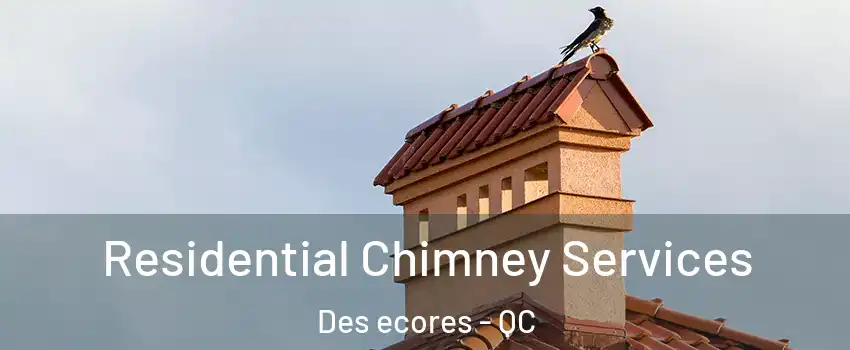  Residential Chimney Services Des ecores - QC