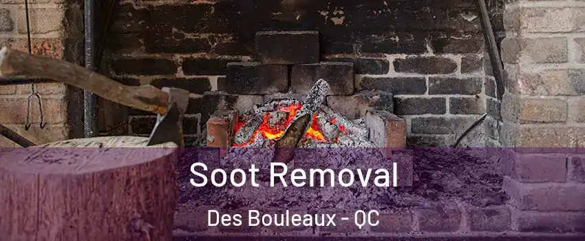  Soot Removal Des Bouleaux - QC