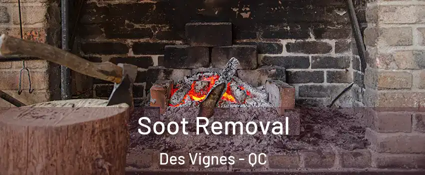  Soot Removal Des Vignes - QC