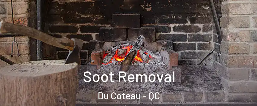  Soot Removal Du Coteau - QC