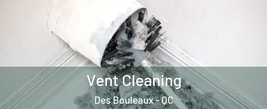  Vent Cleaning Des Bouleaux - QC