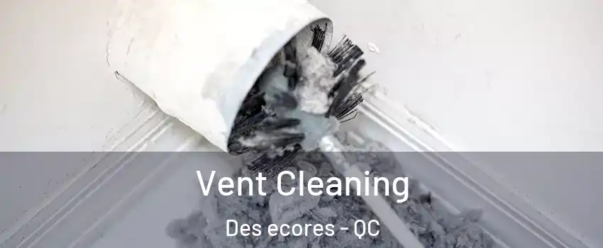  Vent Cleaning Des ecores - QC