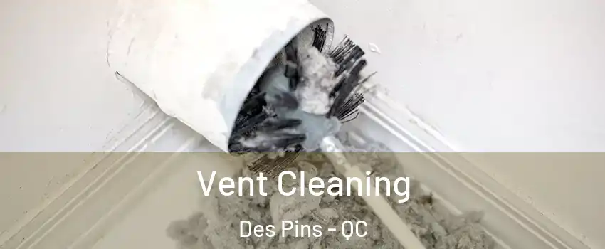  Vent Cleaning Des Pins - QC