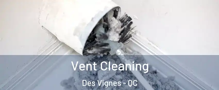  Vent Cleaning Des Vignes - QC