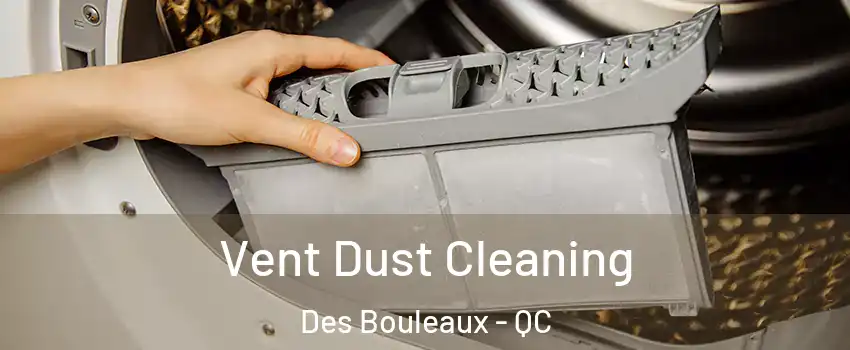  Vent Dust Cleaning Des Bouleaux - QC