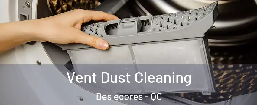  Vent Dust Cleaning Des ecores - QC