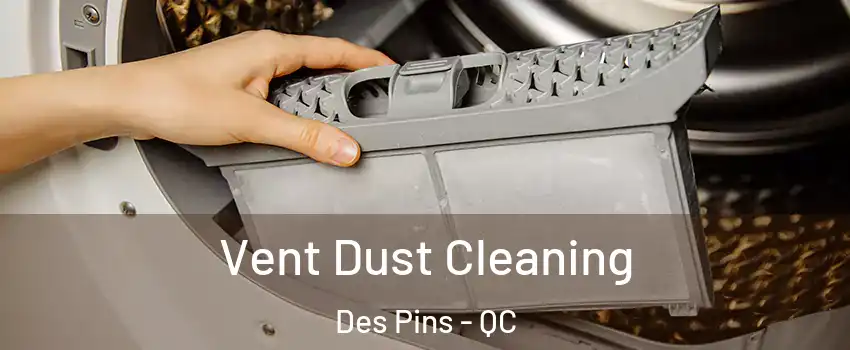  Vent Dust Cleaning Des Pins - QC