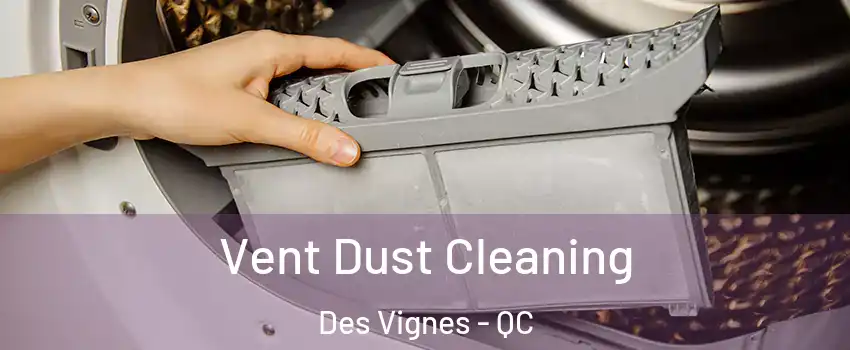  Vent Dust Cleaning Des Vignes - QC