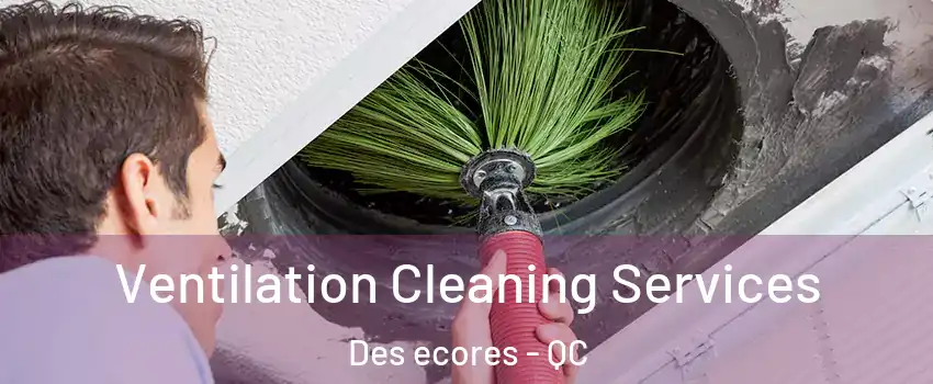  Ventilation Cleaning Services Des ecores - QC
