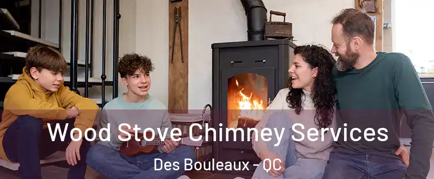  Wood Stove Chimney Services Des Bouleaux - QC
