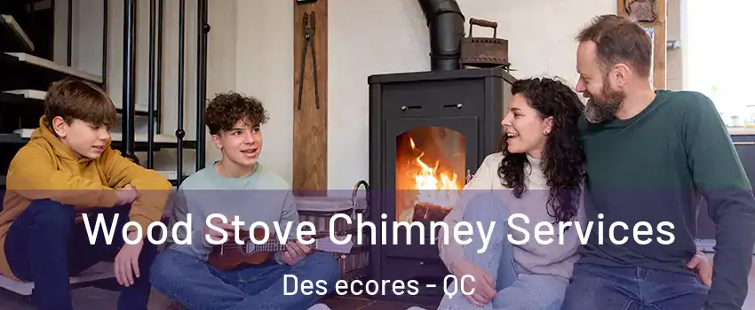  Wood Stove Chimney Services Des ecores - QC
