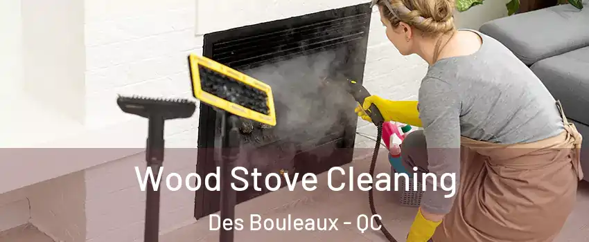 Wood Stove Cleaning Des Bouleaux - QC