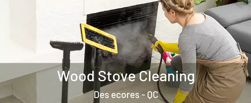  Wood Stove Cleaning Des ecores - QC