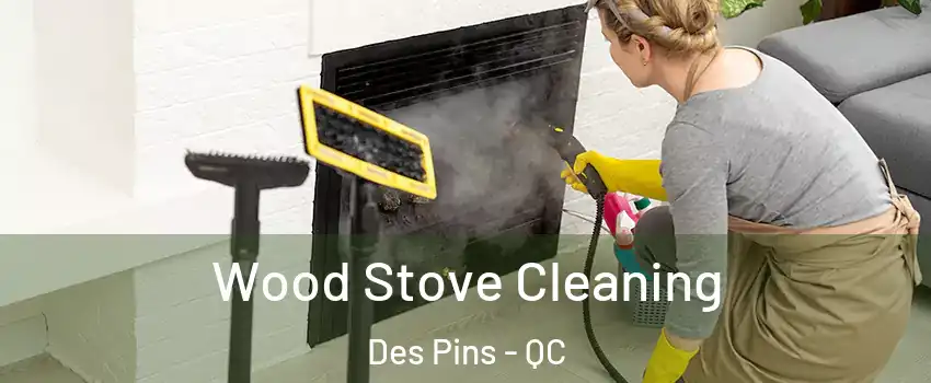  Wood Stove Cleaning Des Pins - QC