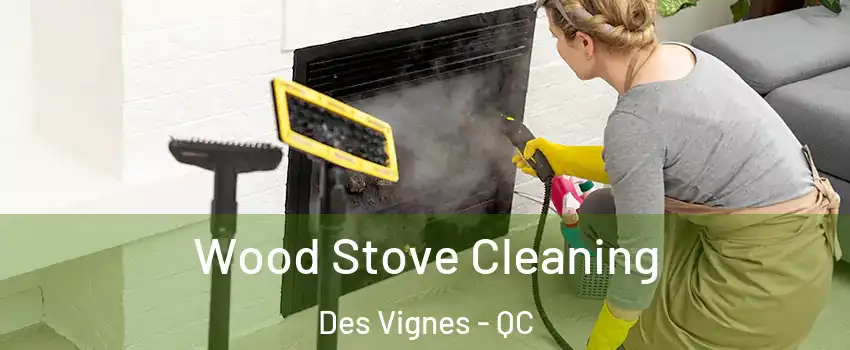  Wood Stove Cleaning Des Vignes - QC