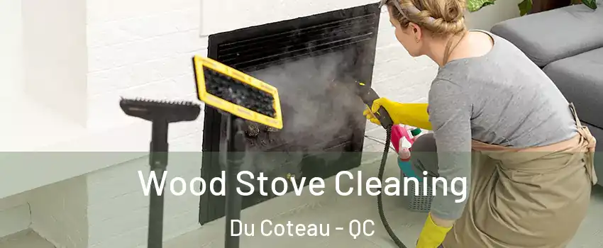  Wood Stove Cleaning Du Coteau - QC