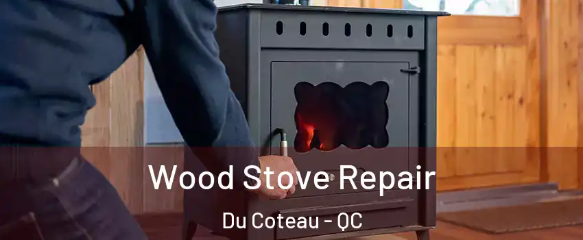 Wood Stove Repair Du Coteau - QC
